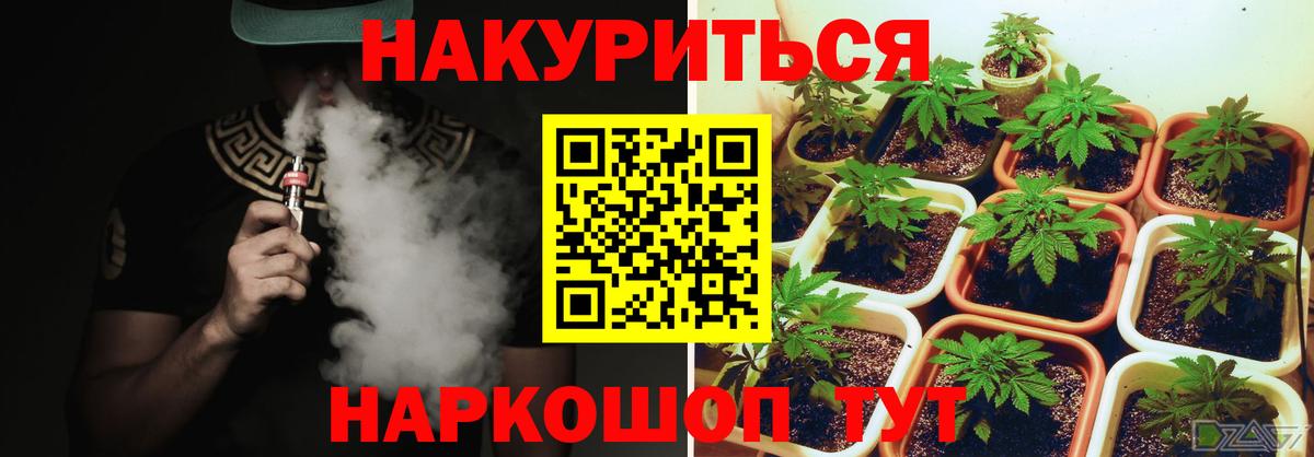 Марихуана семена  Канабис семена  Вход с VPN  Назрань  Шишки марихуана White Widow 